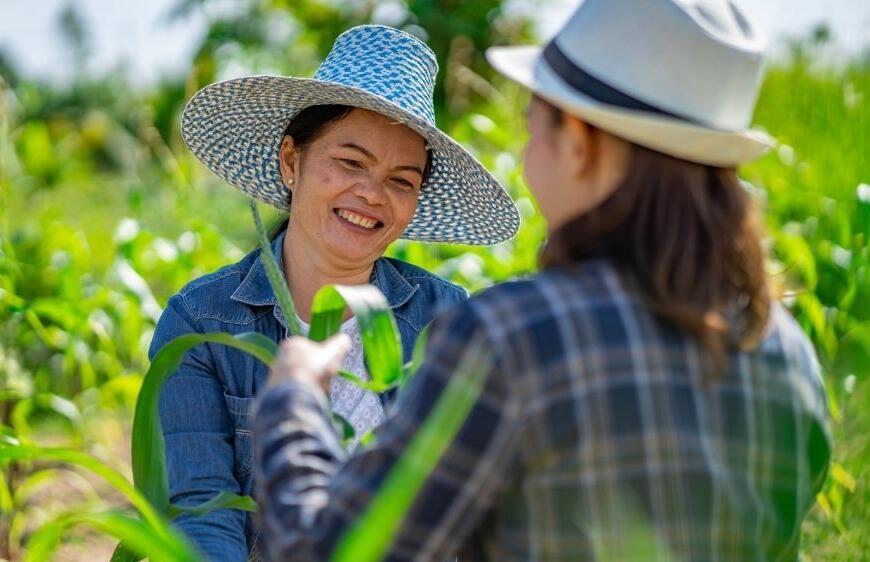 Sürdürülebilir Bir Tatil Seçeneği: Agro Turizm Nedir?