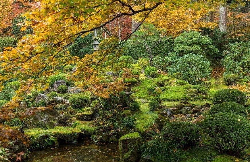 Türkiye'nin En Büyük Japon Bahçesi: Konya Kyoto Japon Bahçesi